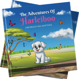 The Adventures Of Harleiboo - Kindle