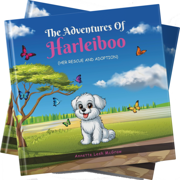 The Adventures Of Harleiboo - Kindle